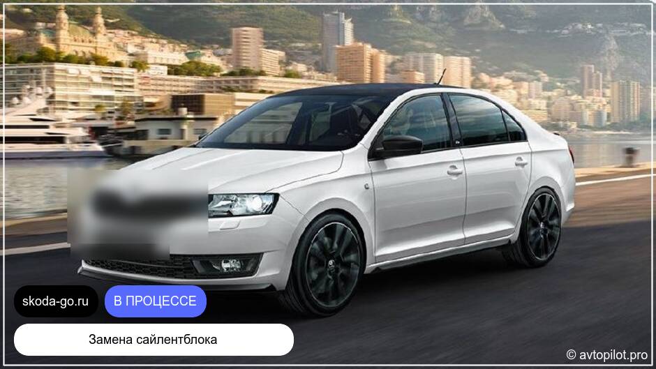 Техническое обслуживание Шкода Рапид 2021 г.в. в автосервисе СПб Фрунзенский район 